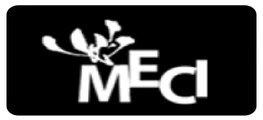 MECI