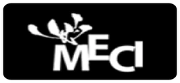 메씨 MECI